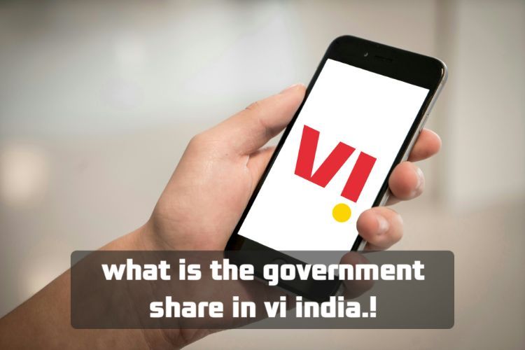 What is the government share in VI